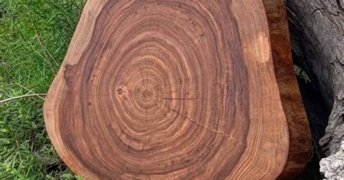 20 Satisfying Photos That Every Perfectionist Would Like to Start Their Day With