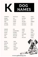 200+ Dog Names That Start with K for Your Kawaii Puppy