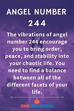244 Angel Number Twin Flame, Meaning, Soulmate, Love ·