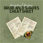 A Comprehensive Guide to 5E Druid Wild Shape