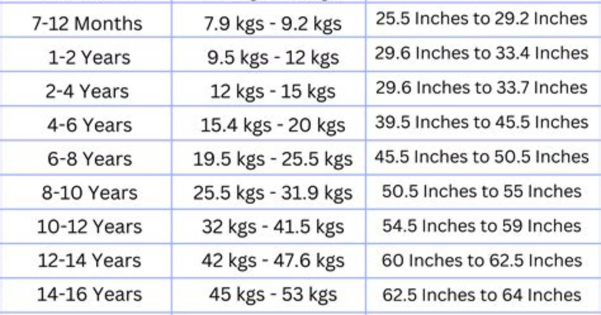 A Comprehensive Review of Height, Weight, Age, and Net Worth