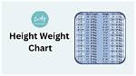 A Guide to Height, Weight, and Bio