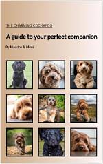 A Guide to Your Charming Companion
