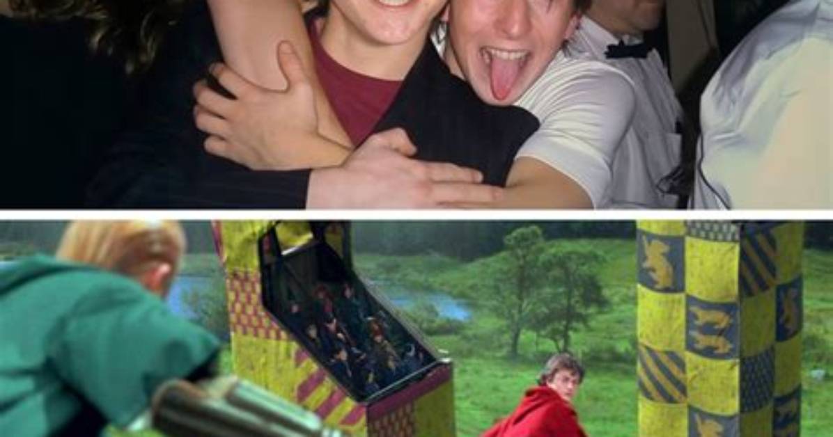 A Harry Potter Stunt Double Revealed the Scene That Left Him Paralyzed