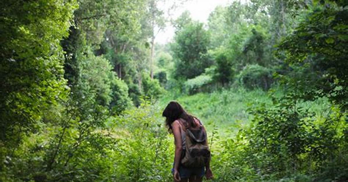 A Journey into Nature: Exploring "A Walk in the Woods" on Netflix