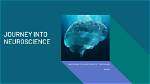 A Journey into Neuroscience and Stature