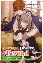 A Journey of Marriage, Divorce, and Beyond