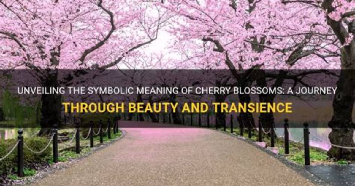 A Journey of Meaning and Beauty