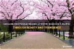 A Journey of Meaning and Beauty