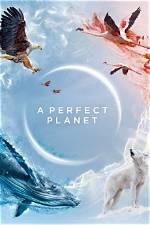A Perfect Planet: Kpkuang's Vision for a Sustainable Future