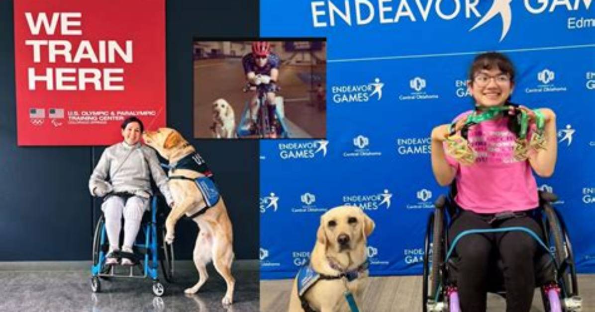 A-X-L: the Future of Canine Companionship