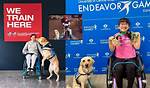 A-X-L: the Future of Canine Companionship