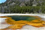A Yellowstone Odyssey for the Curious
