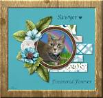 Acknowledging the Life and Memory of Sawyer Fink: Obituary and Tribute