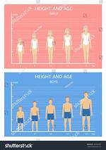 Age, Height, Partner, and More