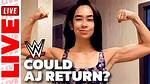 Aj Lee 2024: the Resurgence of a Wrestling Icon