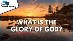 All You Need to Know About Glory Johnson