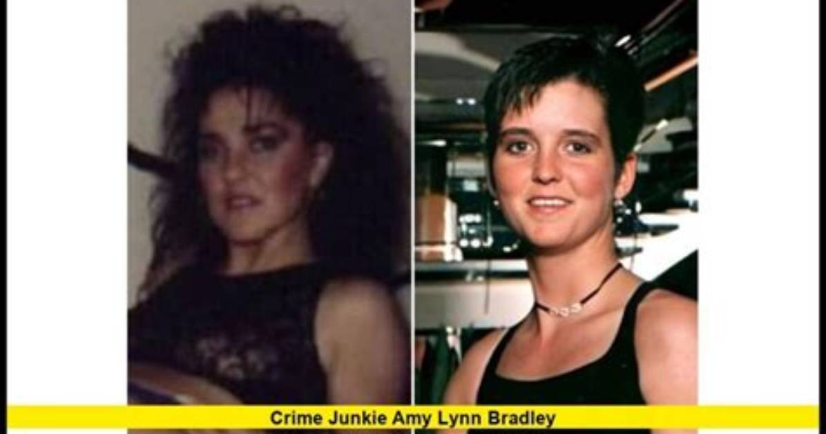 Amy Lynn Bradley Update 2024: the Ongoing Search for Answers
