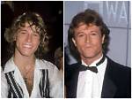 Andy Gibb's Height and Weight Revealed