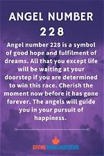 Angel Number 228