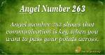 Angel Number 263