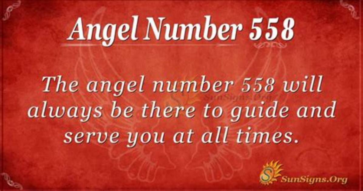 Angel Number 558