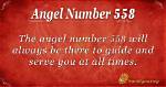 Angel Number 558