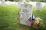 Audie L. Murphy: the Legacy of a War Hero and Hollywood Star