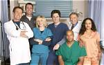 Behind the Scrubs: Are Any of the Cast Members on Grey's Anatomy Actually Doctors?