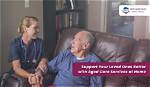 Best Bellingham Grandparents Services for Your Loved Ones