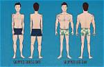 Big Torso Small Legs