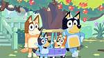 Bluey: the Hit Canine Cartoon Show on Disney+ Nyt