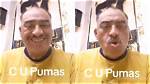C U Cu Pumas: the Thrilling Journey of a Cultural Phenomenon