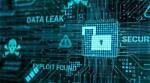 Camila Araujo | Leaks, Sensitive Data, and Security Breaches