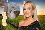 Carrie Underwood's Stunning Pregnancy Photos: a Radiant Mother-to-Be