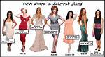Celebrity Measurements 38-28-38: Understanding the Iconic Curves of Hollywood Stars