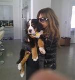 Chelsea Handler Welcomes a Bernese Mountain Dog into Her Family