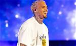 Chris Brown's Staggering Net Worth: Unveiling the Wealth of a Music Icon