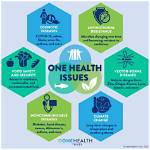 Comprehensive Guide to Understanding Rick Ness Health Concerns and Remedies
