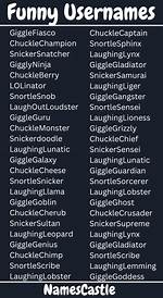 Creative and Hilarious Usernames for Every Occasion