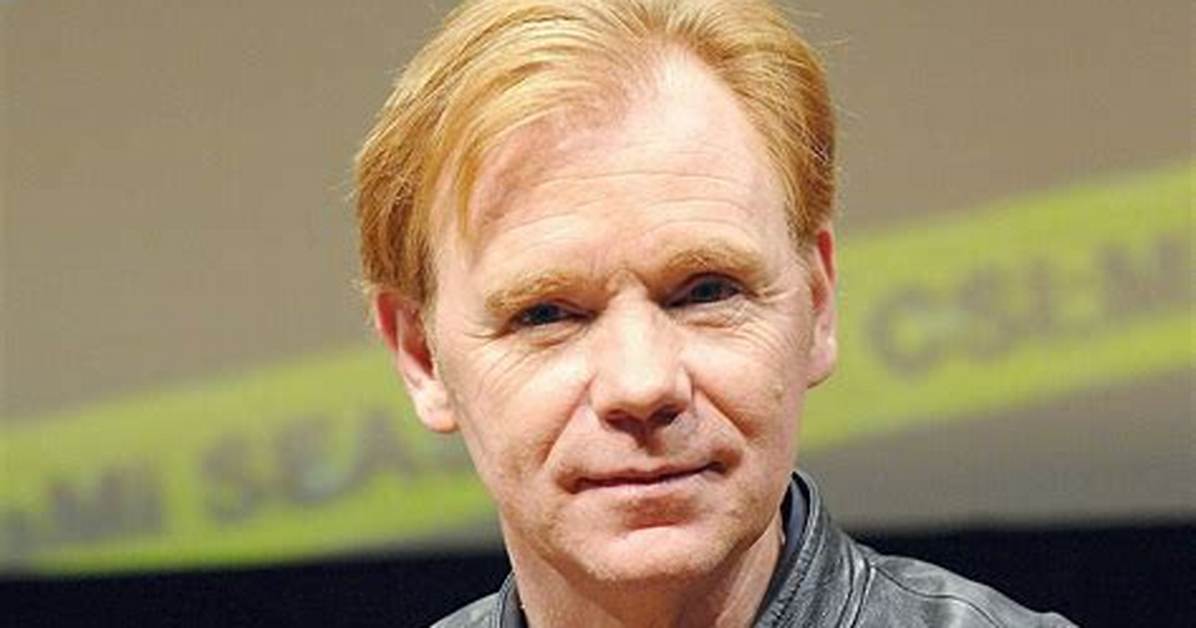 David Caruso Net Worth - Bloglab