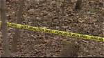 Delphi Murders Youtube Video Leaked Search Warrant Request Shows New Information the Talks Today