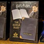 Diary of a Model: a Harry Potter Fanfiction