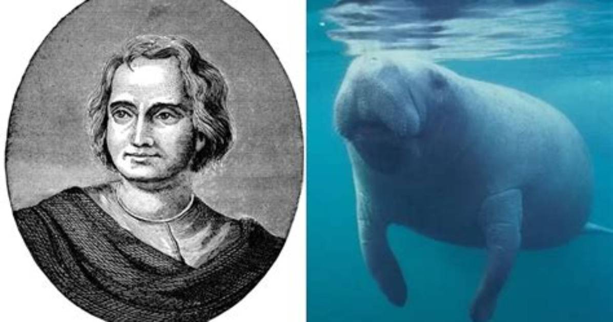 Did Christopher Columbus Sleep with a Manatee