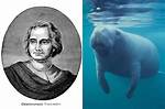 Did Christopher Columbus Sleep with a Manatee