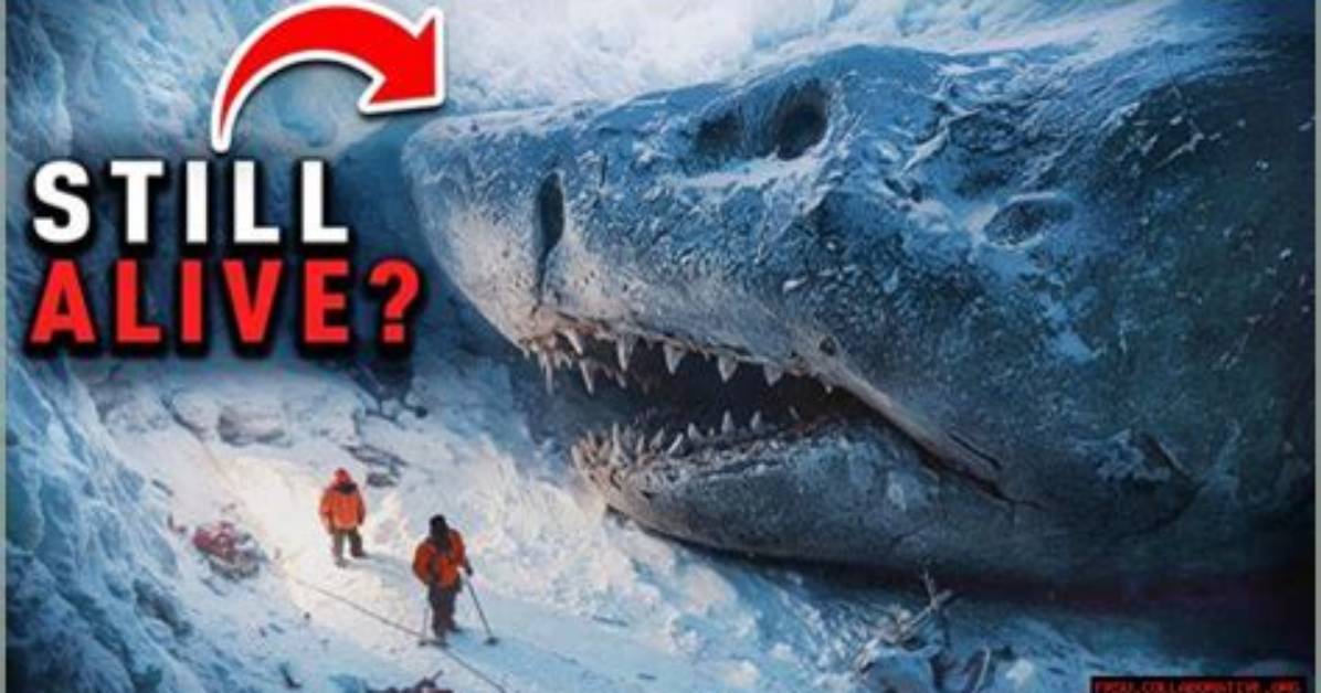 Did Nasa Find a Frozen Megalodon?