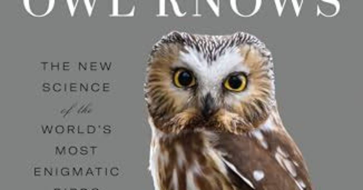 Discover Hidden Truths About These Enigmatic Birds