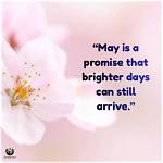 Discover Inspiring Quotes for a Brighter Season