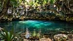 Discover the Enchanting World of Mexico's Michelin-Starred Dining