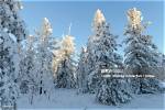 Discover the Enigmatic Yamal Peninsula: a Journey into Untamed Wilderness